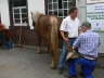 Schmiedefest 2008-13